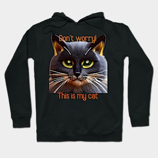 Don't worry! This is my cat Hoodie